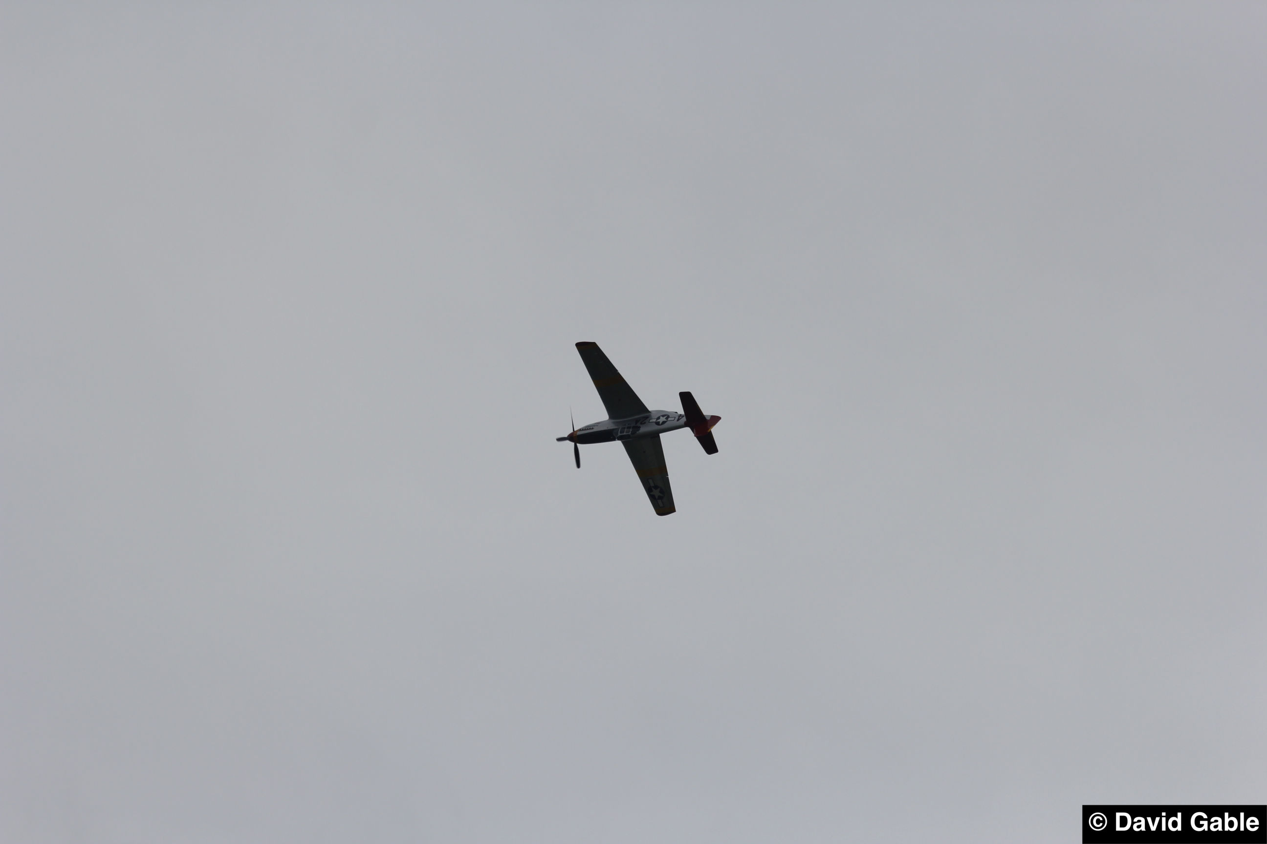 P-51